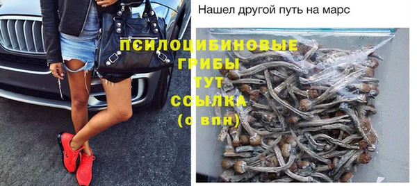 MESCALINE Ельня