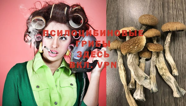 MESCALINE Елизово