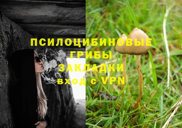 MESCALINE Елизово