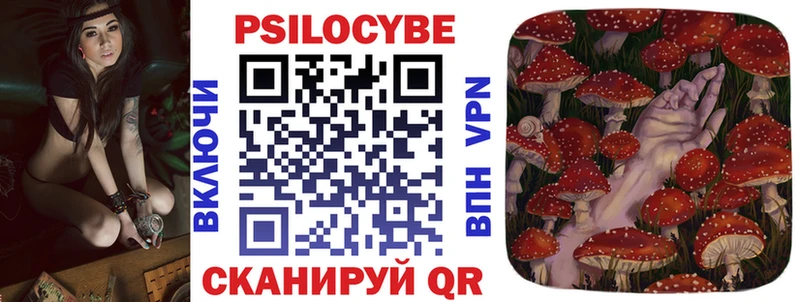 Купить  Игарка  Галлюциногенные грибы Magic Shrooms 