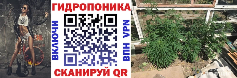 Купить  Игарка  Шишки марихуана VHQ 